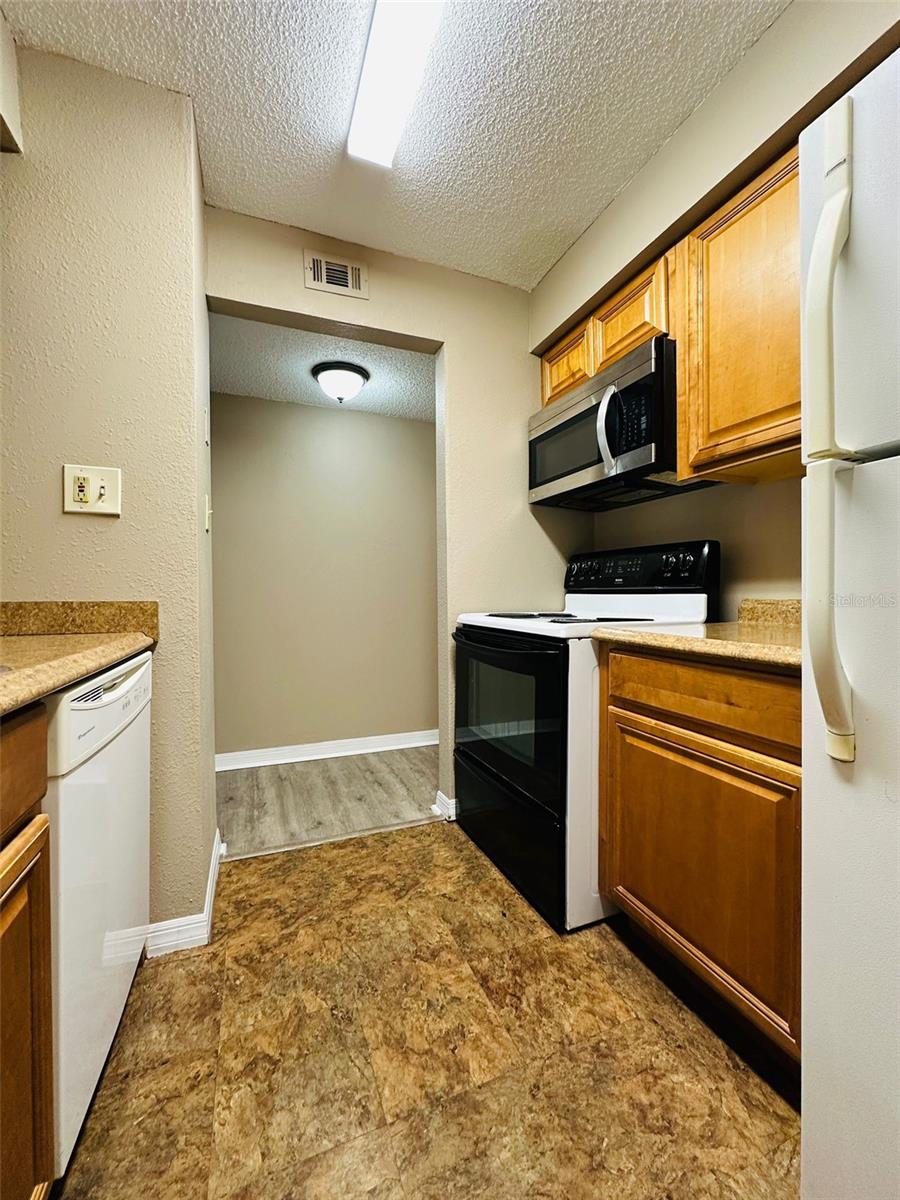 14217 SHADOW MOSS LANE LN #102, TAMPA, FL, 33613