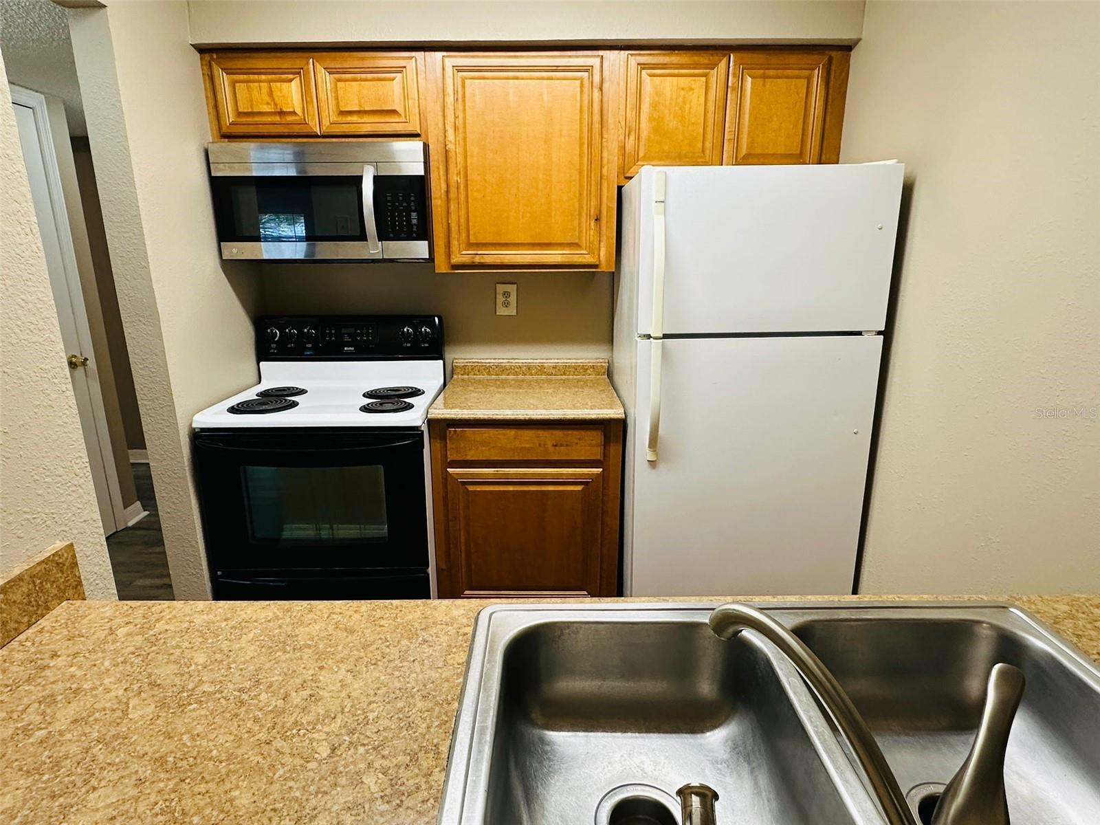 14217 SHADOW MOSS LANE LN #102, TAMPA, FL, 33613