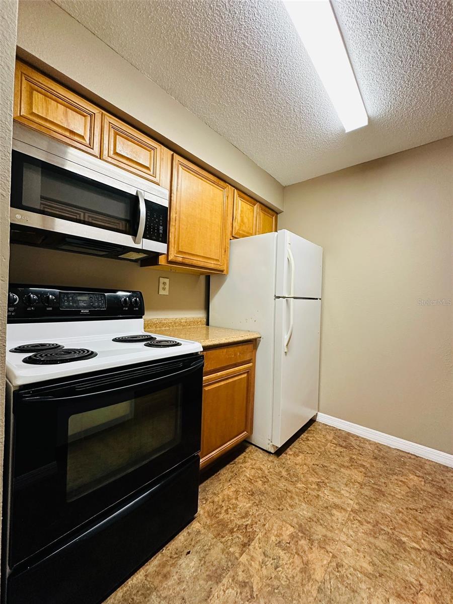 14217 SHADOW MOSS LANE LN #102, TAMPA, FL, 33613