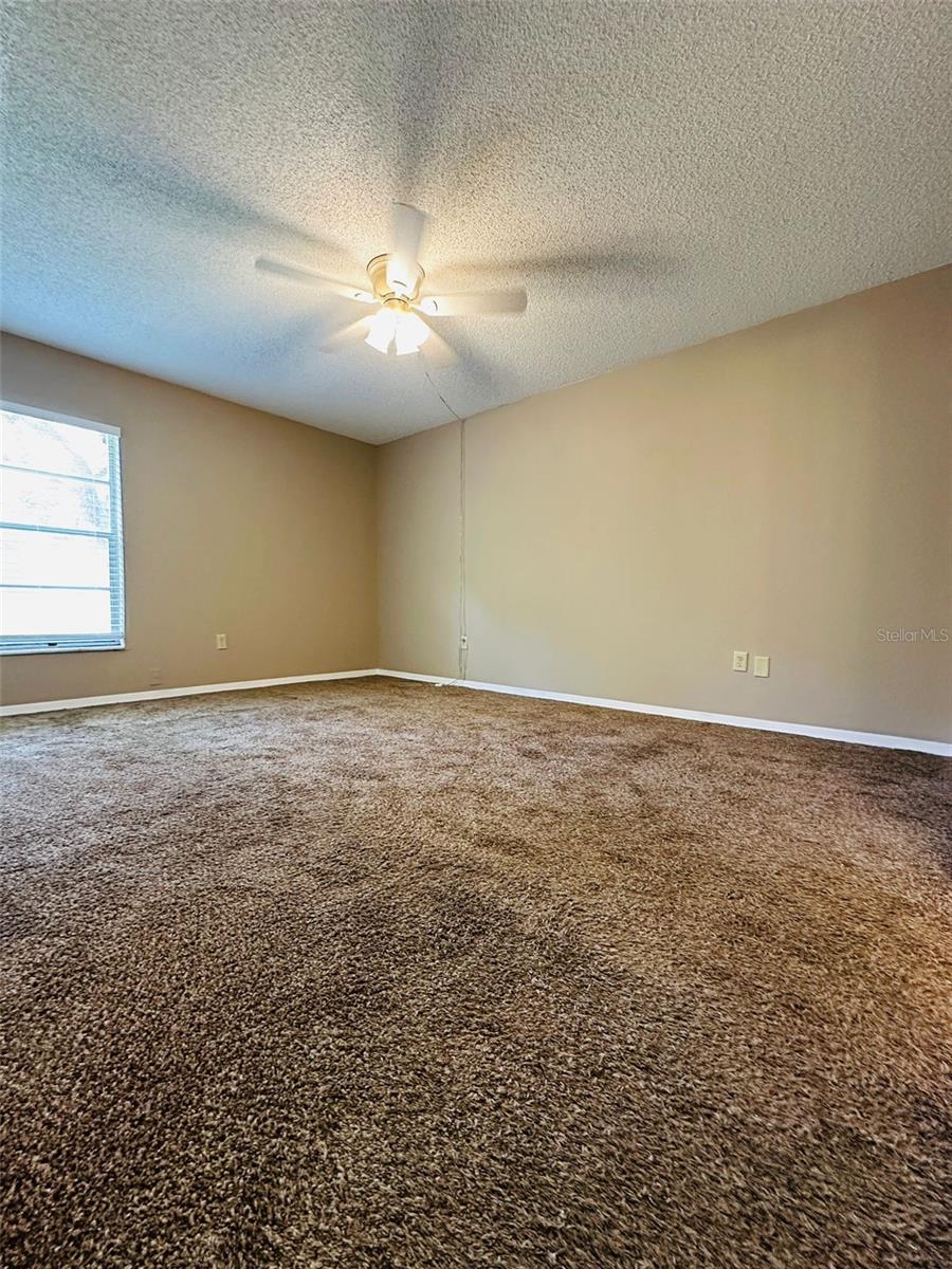 14217 SHADOW MOSS LANE LN #102, TAMPA, FL, 33613