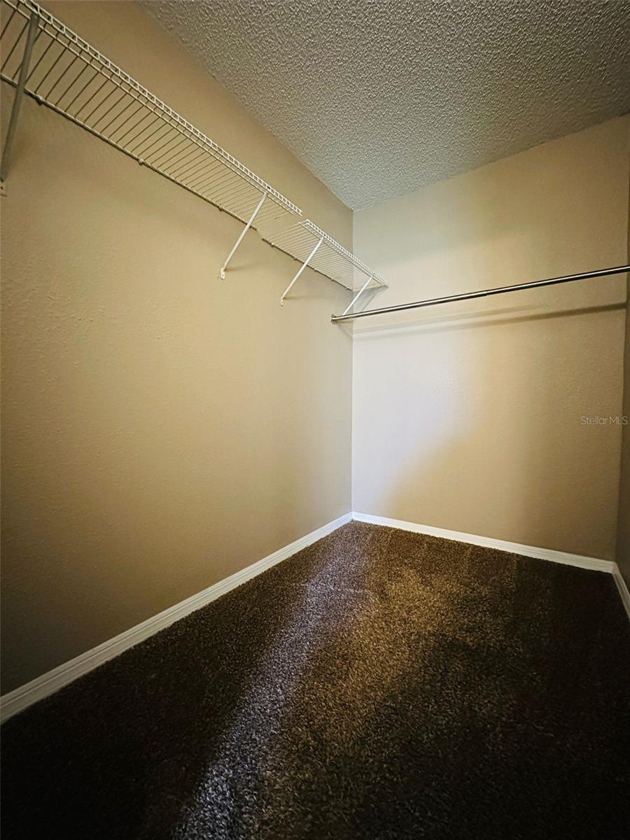 14217 SHADOW MOSS LANE LN #102, TAMPA, FL, 33613