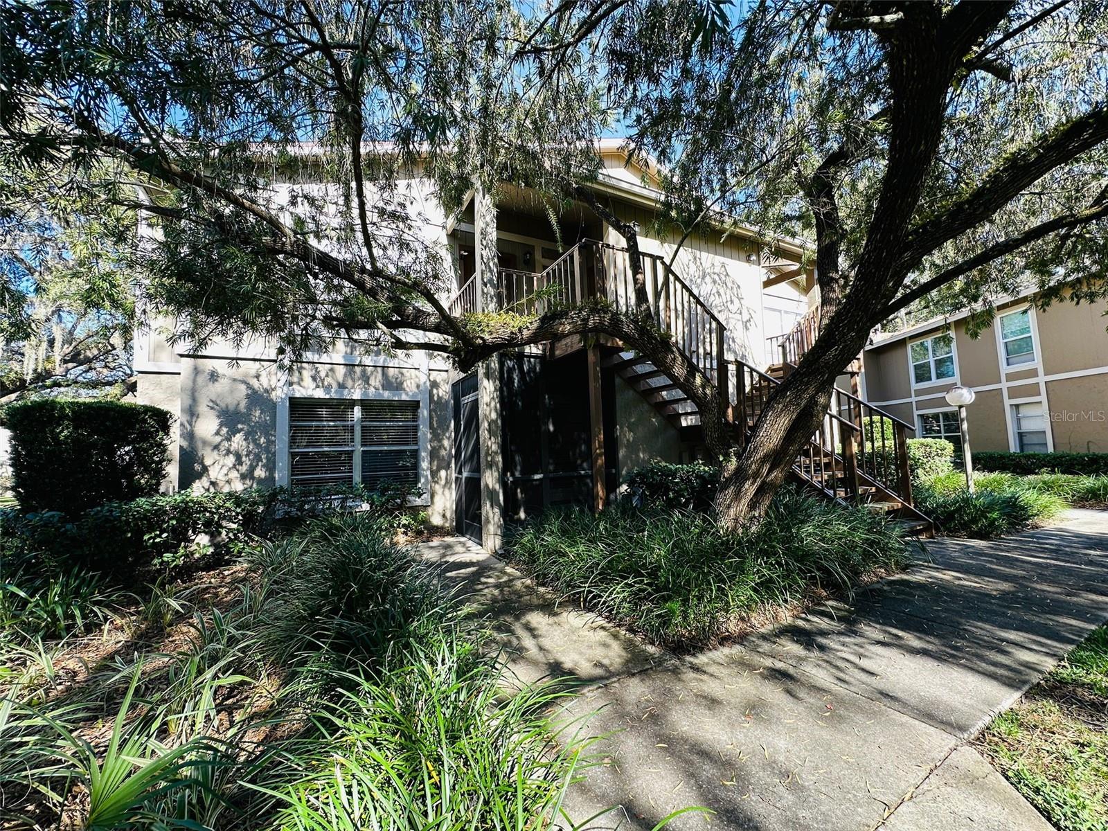 14217 SHADOW MOSS LANE LN #102, TAMPA, FL, 33613