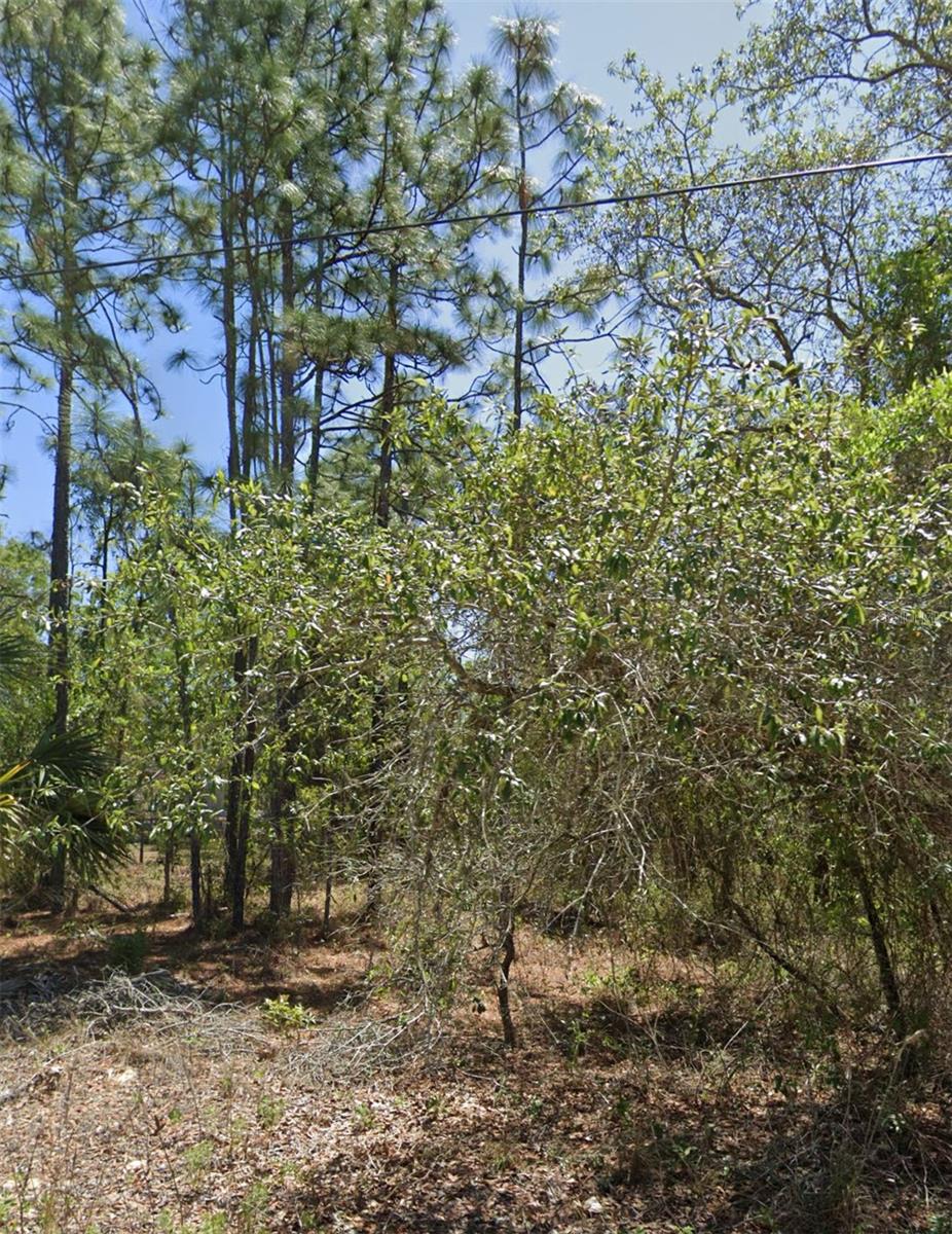 5250 W STARBURST LN, HOMOSASSA, FL, 34446