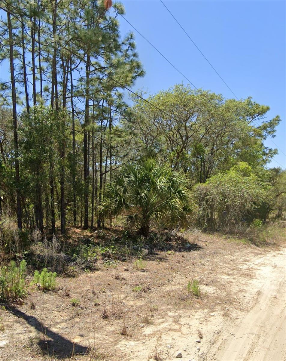 5250 W STARBURST LN, HOMOSASSA, FL, 34446