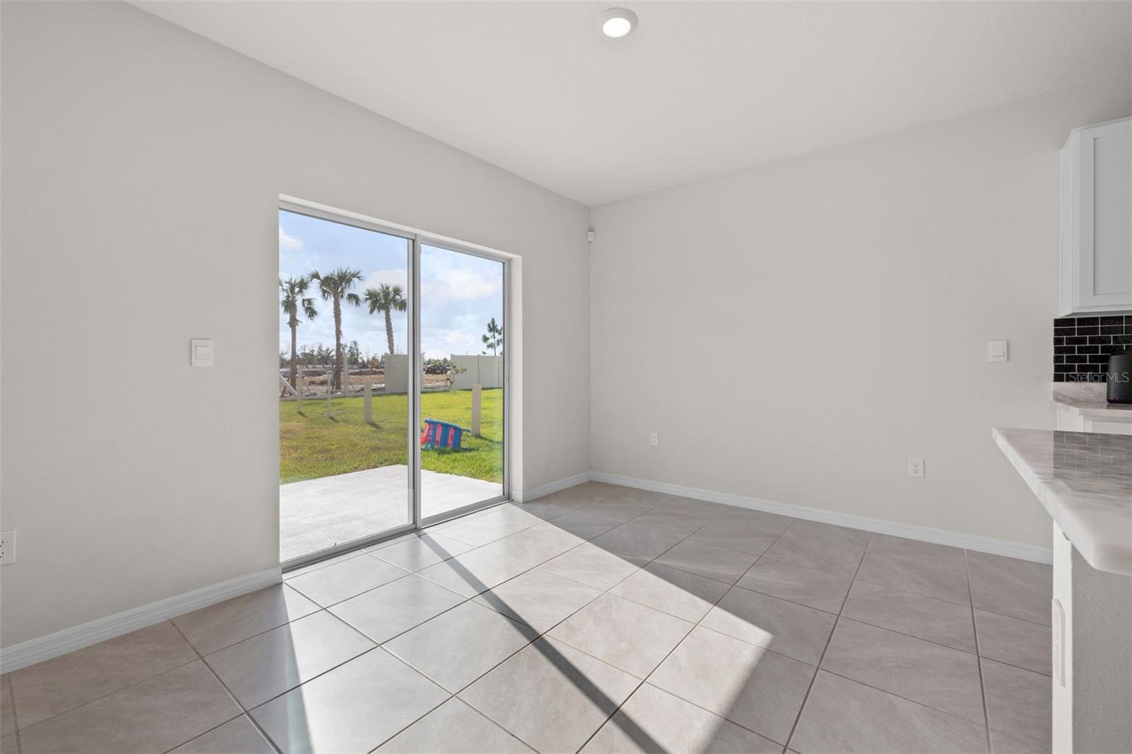 17249 WHEATBERRY BLVD, PARRISH, FL, 34219