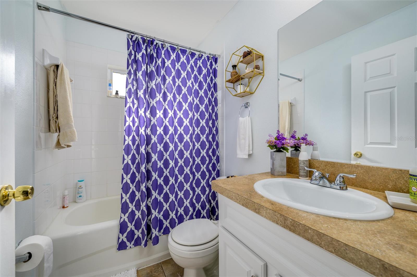 6332 SUSHI CT, WESLEY CHAPEL, FL, 33545