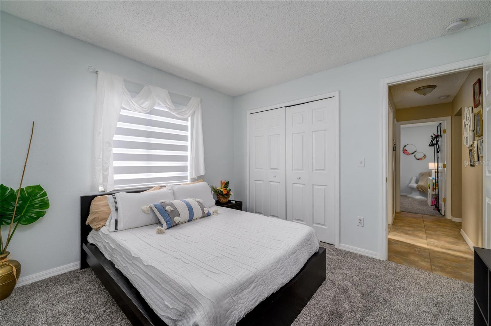 6332 SUSHI CT, WESLEY CHAPEL, FL, 33545