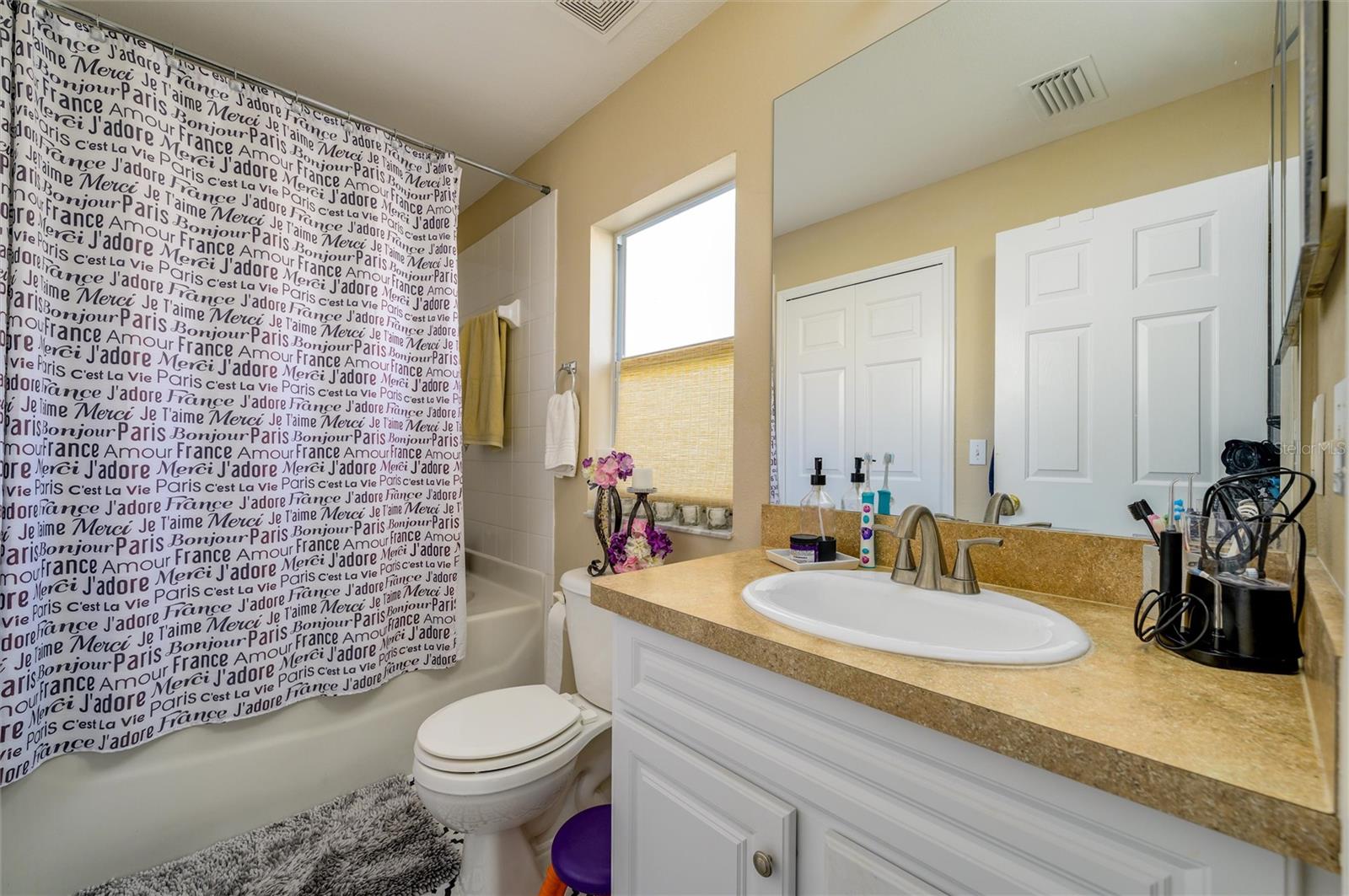 6332 SUSHI CT, WESLEY CHAPEL, FL, 33545