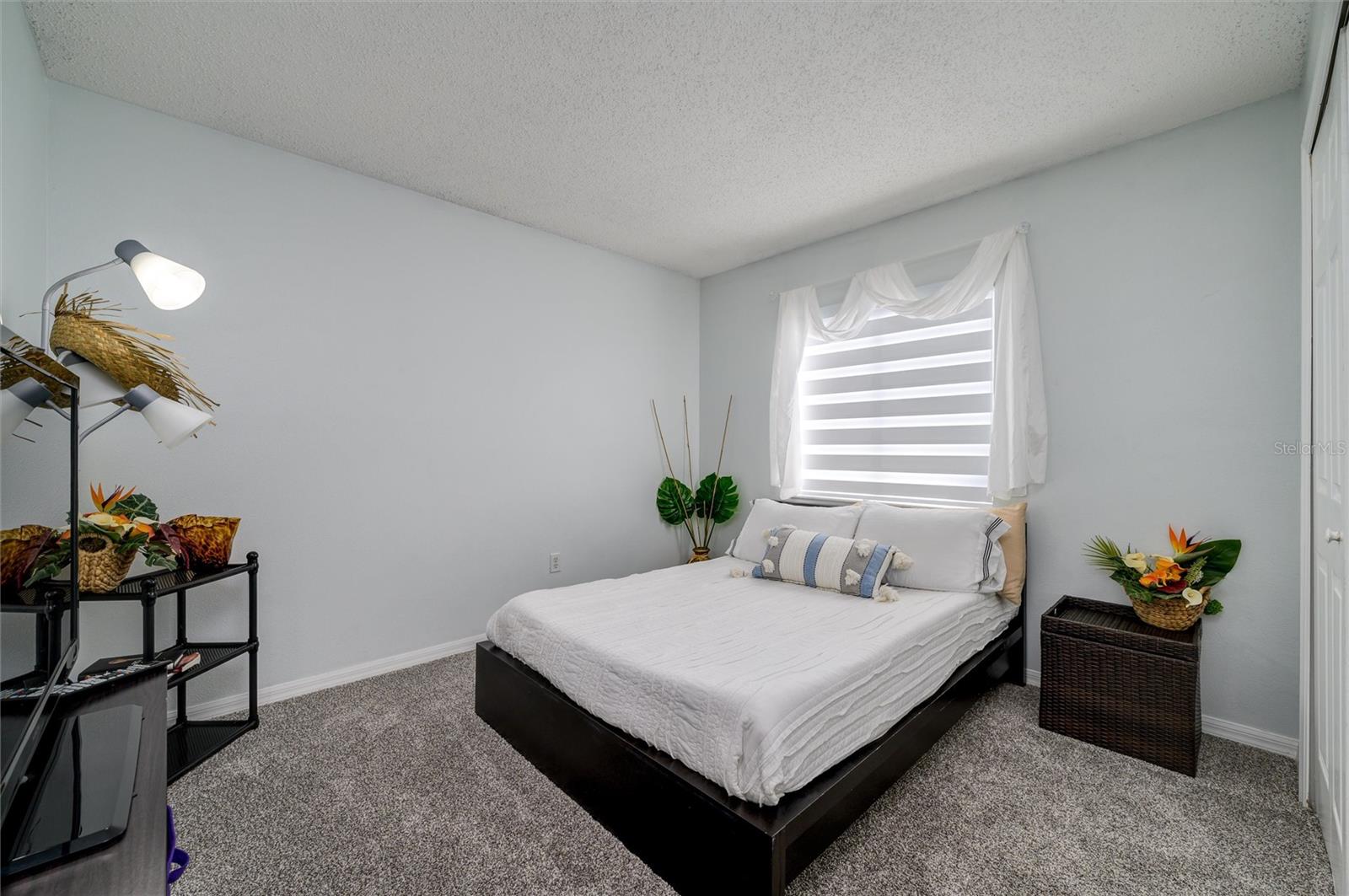 6332 SUSHI CT, WESLEY CHAPEL, FL, 33545