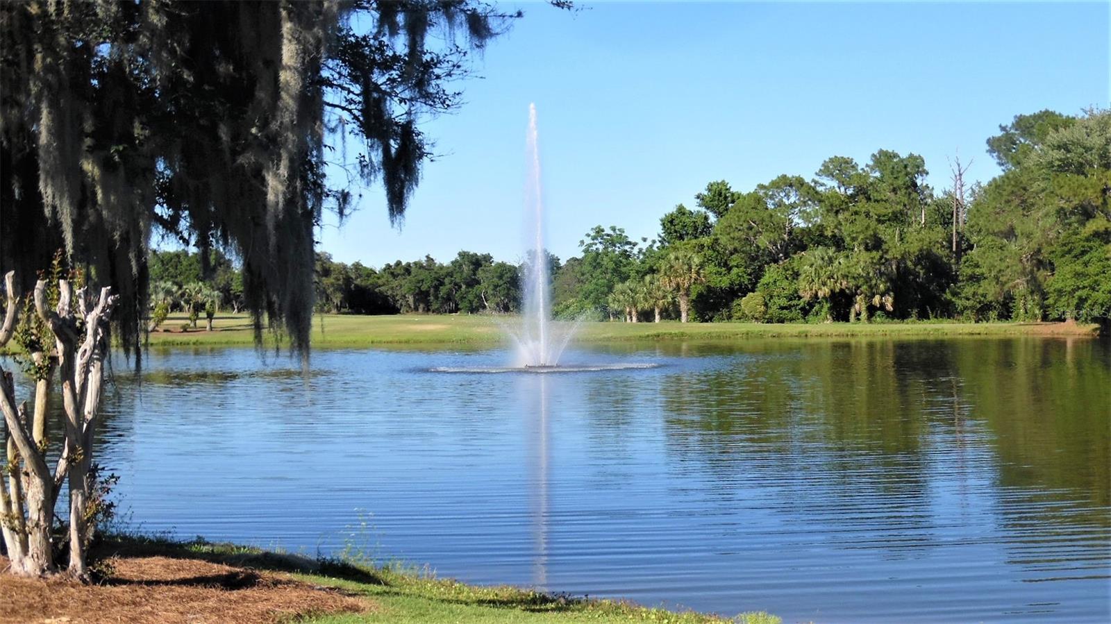 413 S. TIMBER TRAIL, WILDWOOD, FL, 34785
