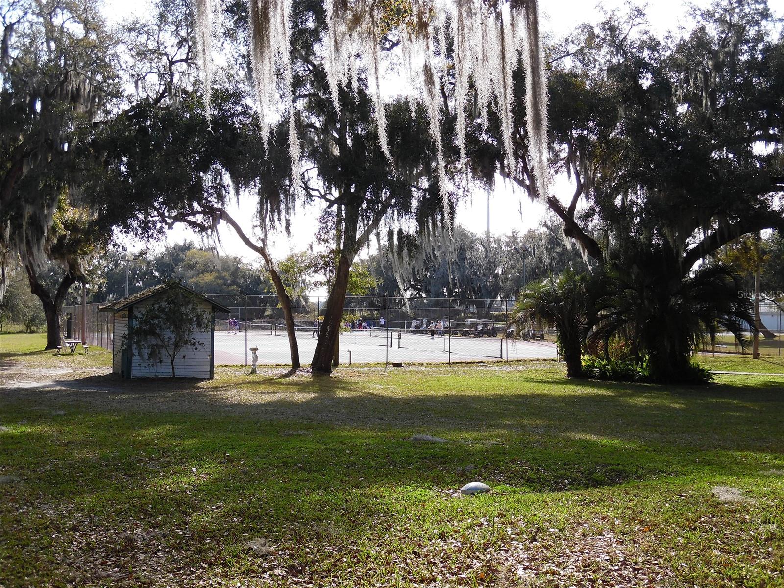 413 S. TIMBER TRAIL, WILDWOOD, FL, 34785