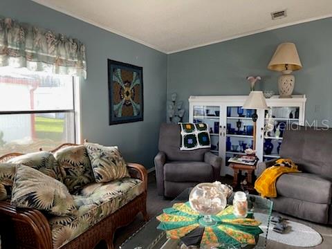 413 S. TIMBER TRAIL, WILDWOOD, FL, 34785