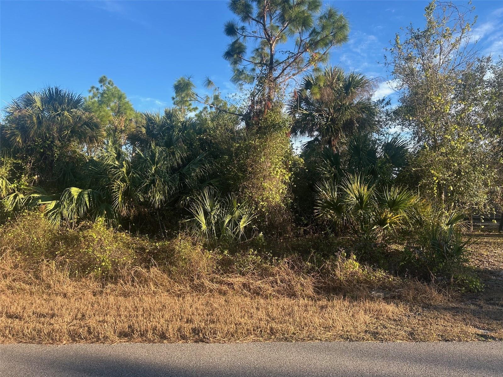 Lot #13 and #14 SERNICE ST, NORTH PORT, FL, 34288