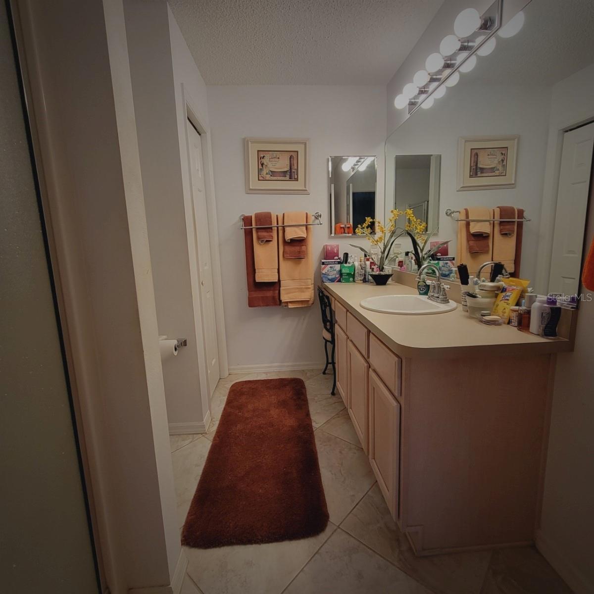 761 TAOS WAY, THE VILLAGES, FL, 32162