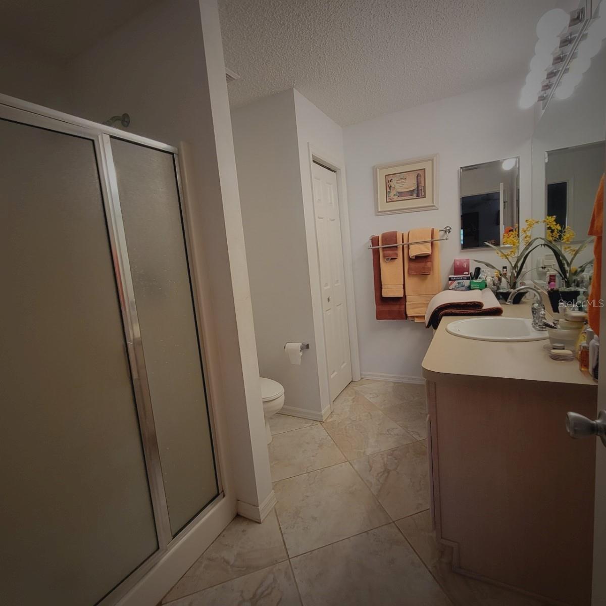 761 TAOS WAY, THE VILLAGES, FL, 32162
