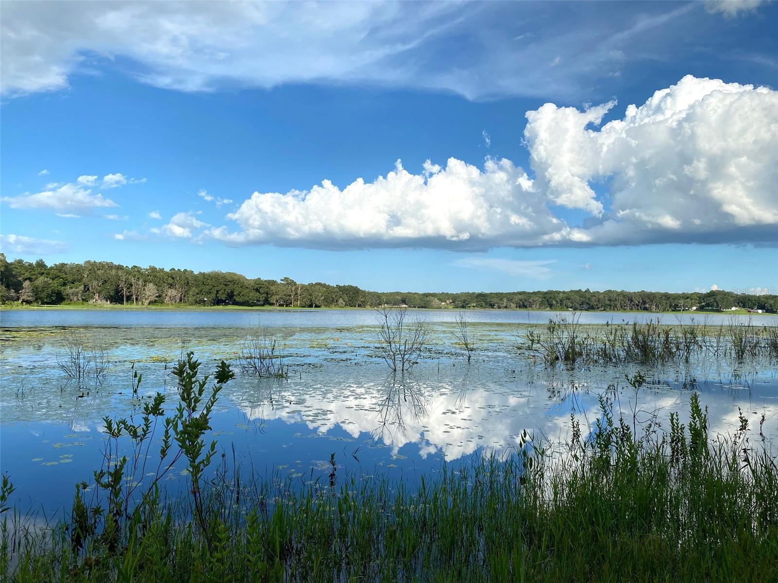 Lot 11 SW SHOREWOOD DR, DUNNELLON, FL, 34431