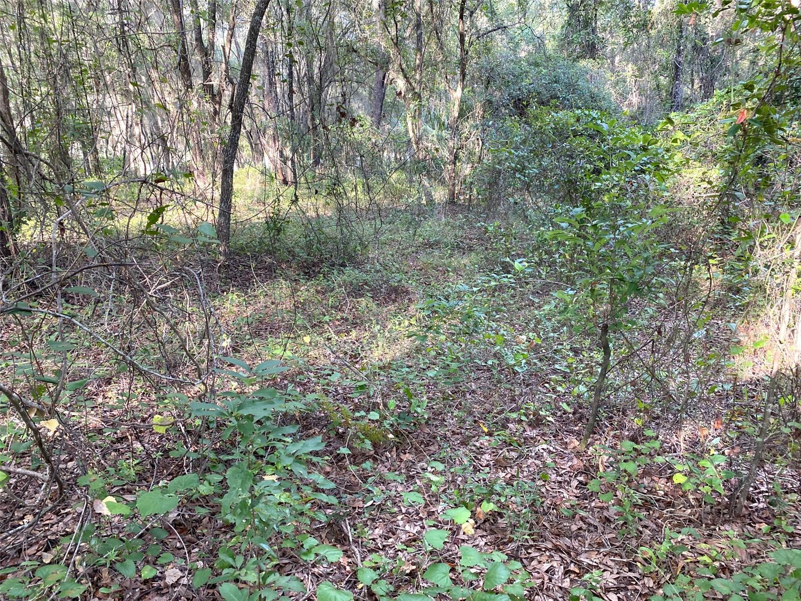 Lot 11 SW SHOREWOOD DR, DUNNELLON, FL, 34431
