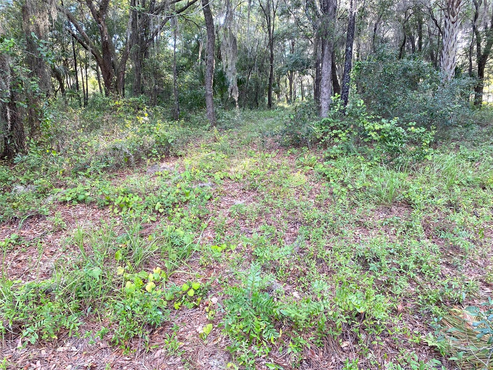 Lot 11 SW SHOREWOOD DR, DUNNELLON, FL, 34431