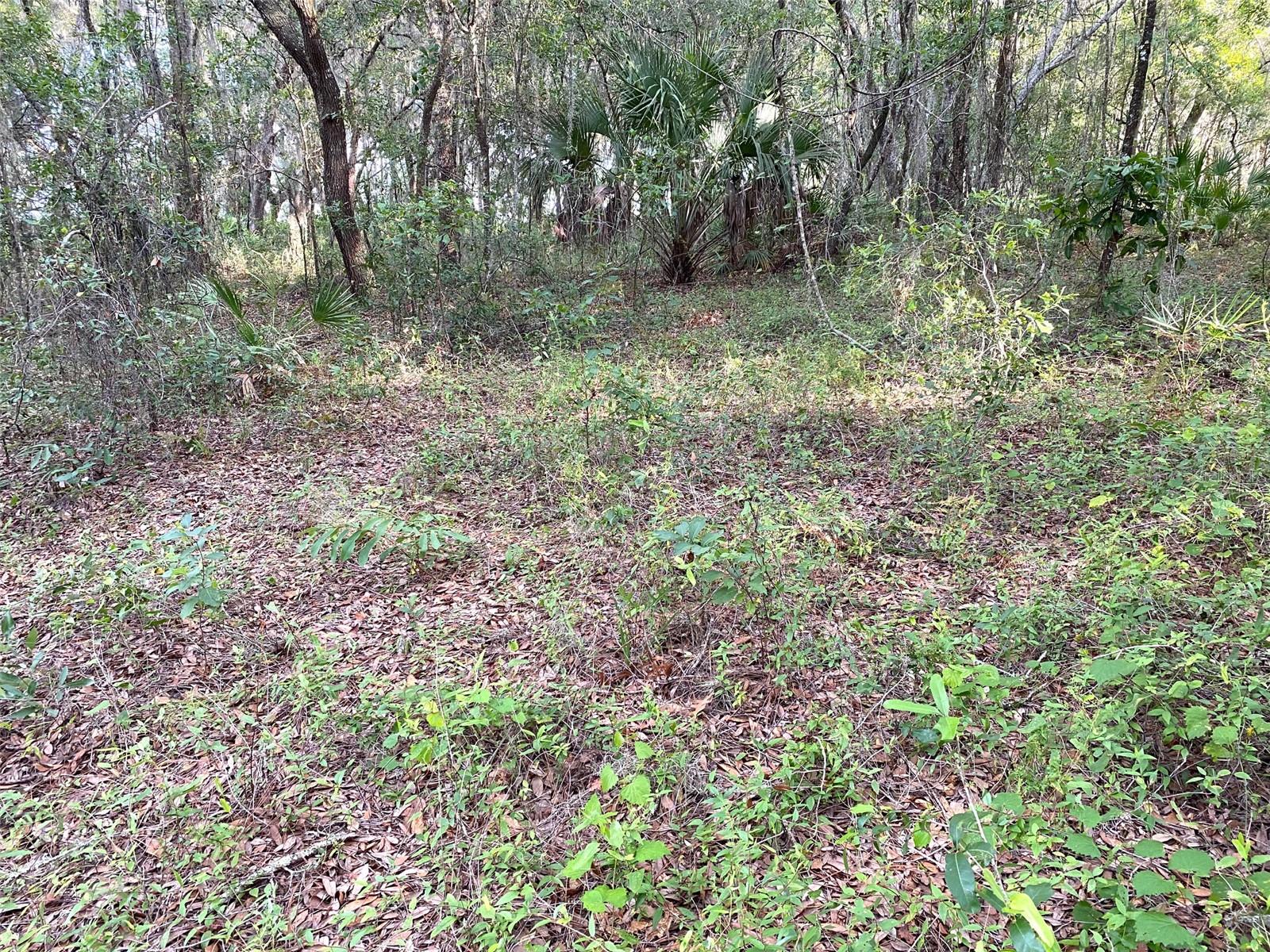 Lot 11 SW SHOREWOOD DR, DUNNELLON, FL, 34431