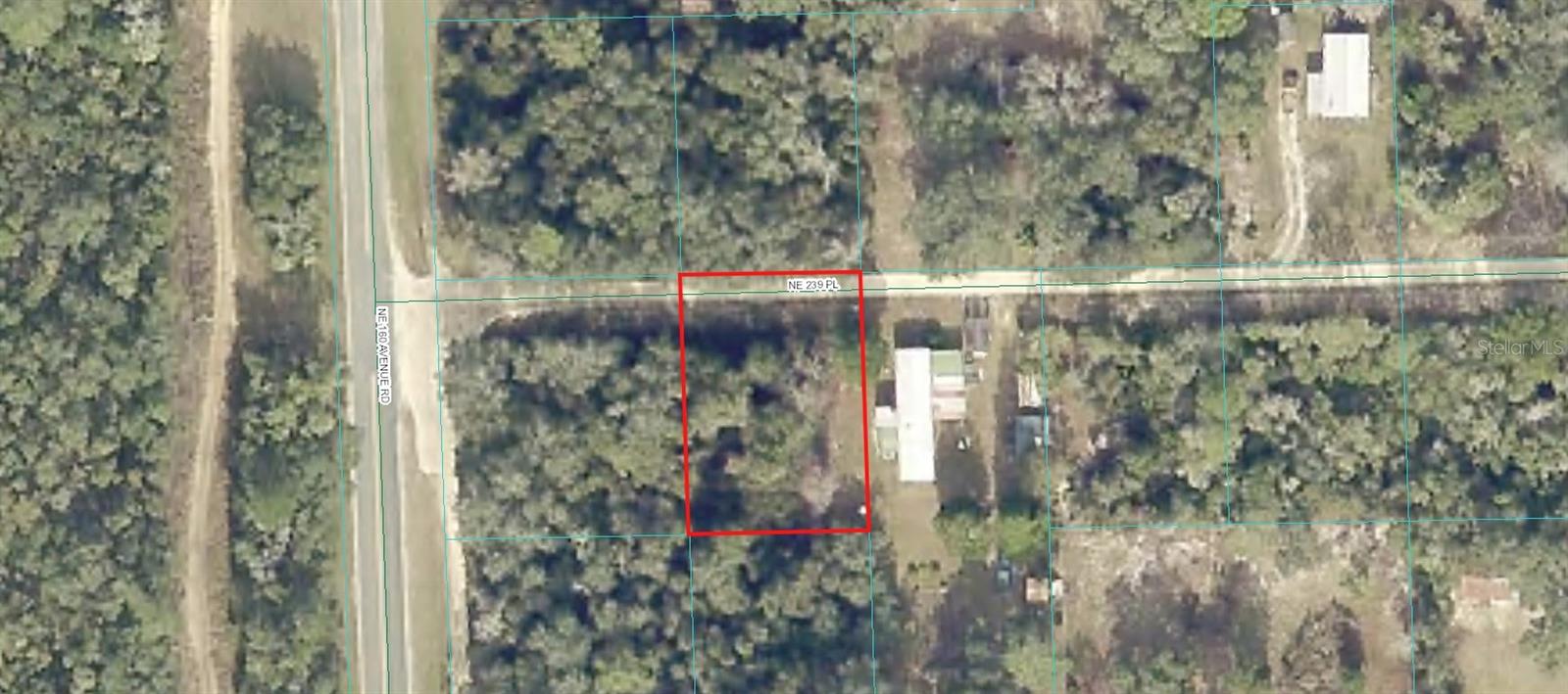 00 NW 239TH PL, FORT MC COY, FL, 32134