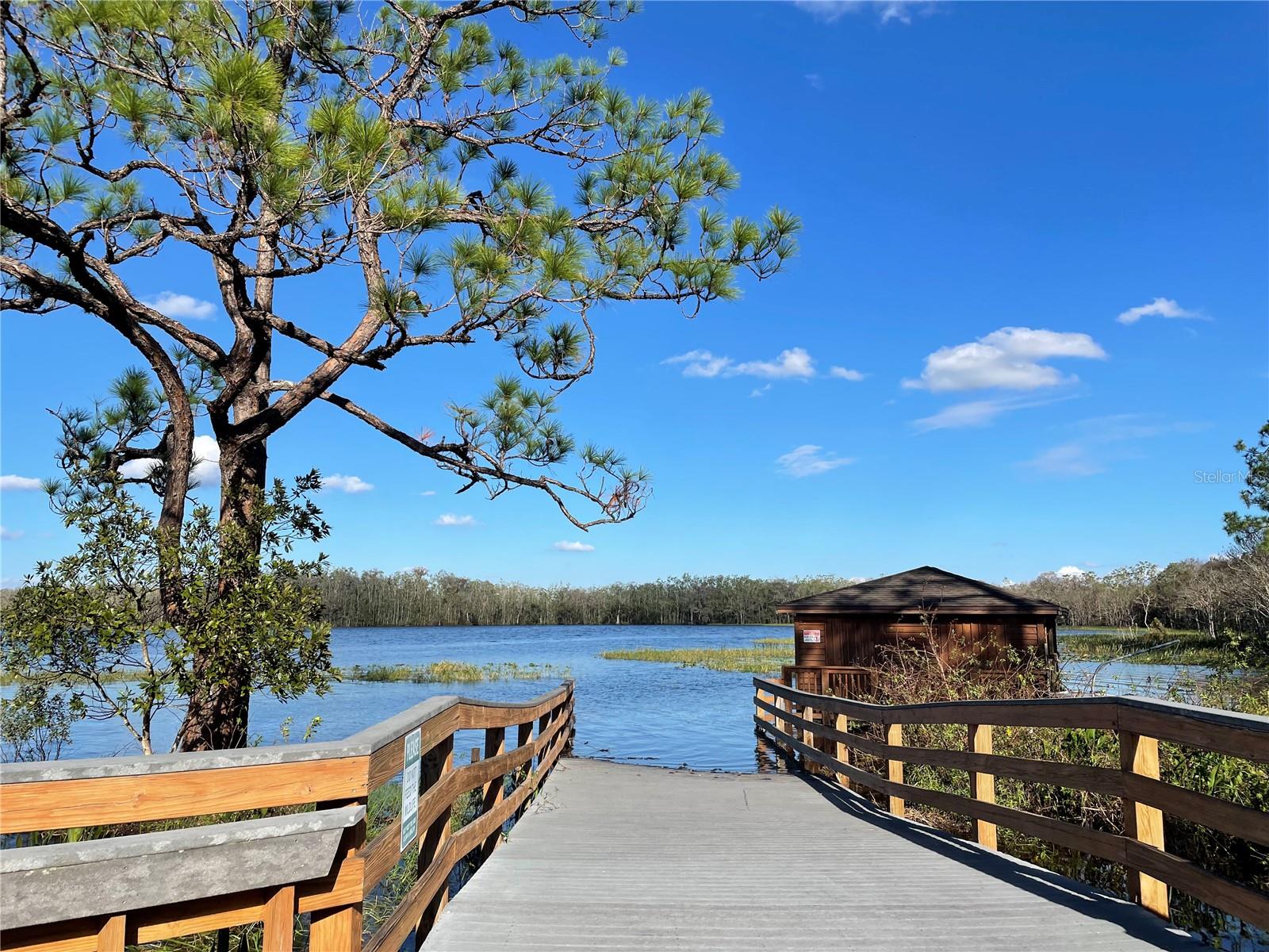 3306 SAGEBRUSH ST, HARMONY, FL, 34773