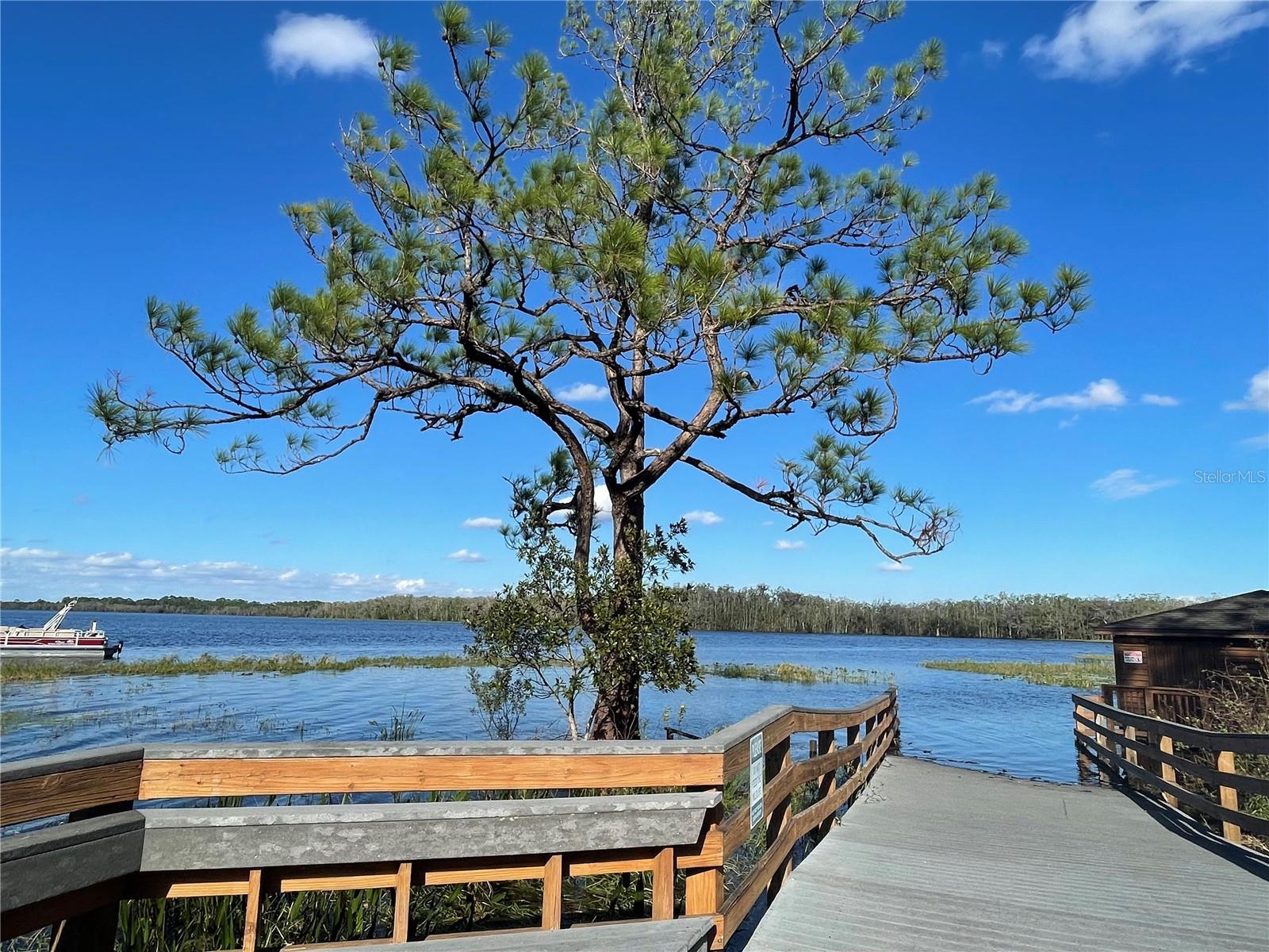 3306 SAGEBRUSH ST, HARMONY, FL, 34773