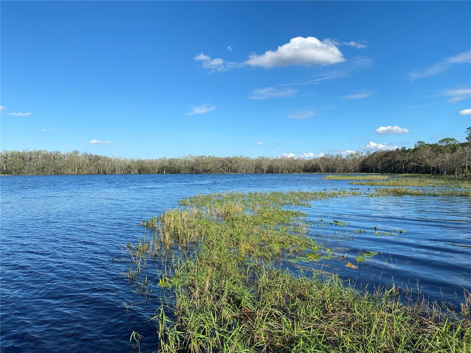 3306 SAGEBRUSH ST, HARMONY, FL, 34773