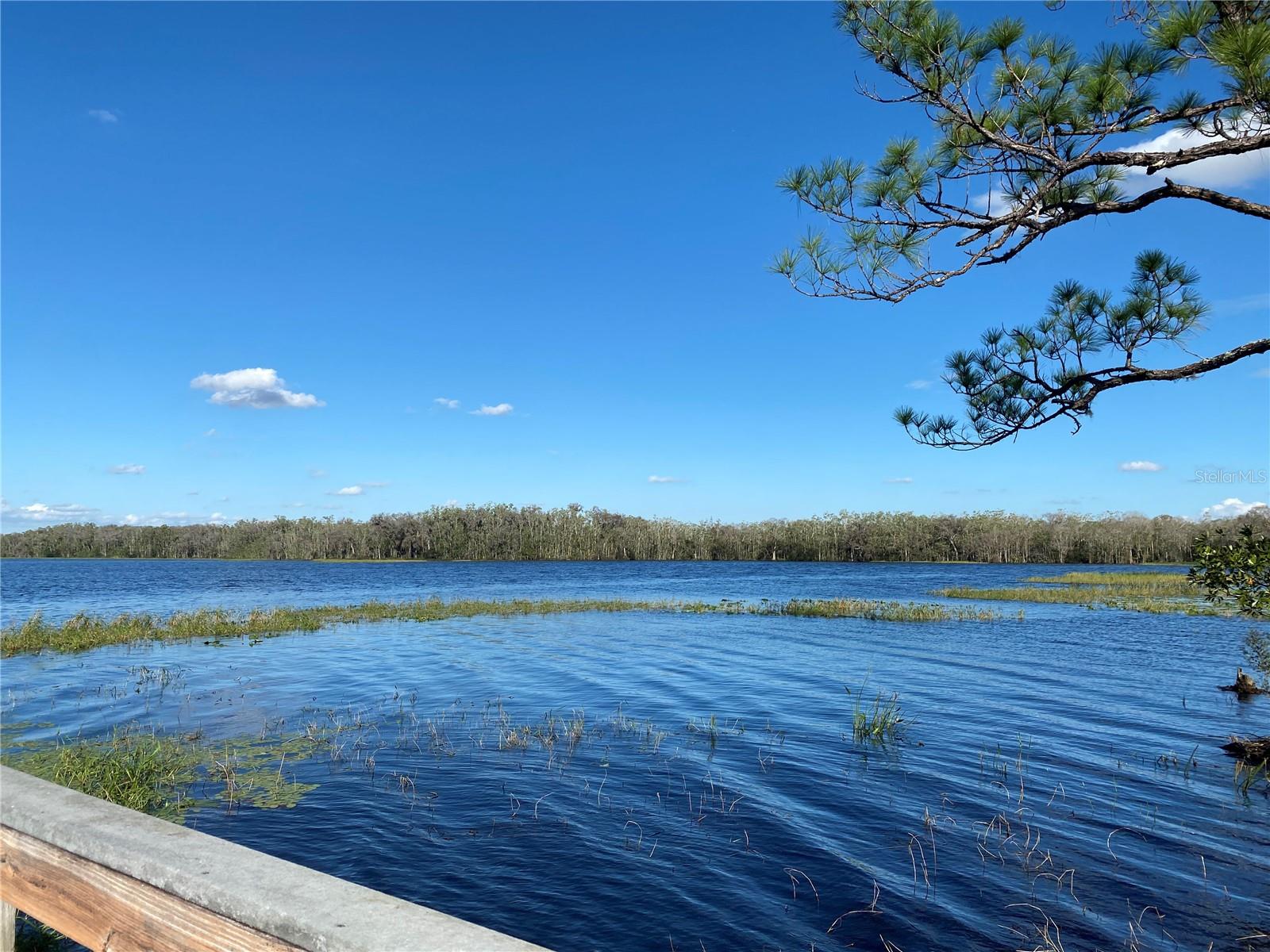 3306 SAGEBRUSH ST, HARMONY, FL, 34773