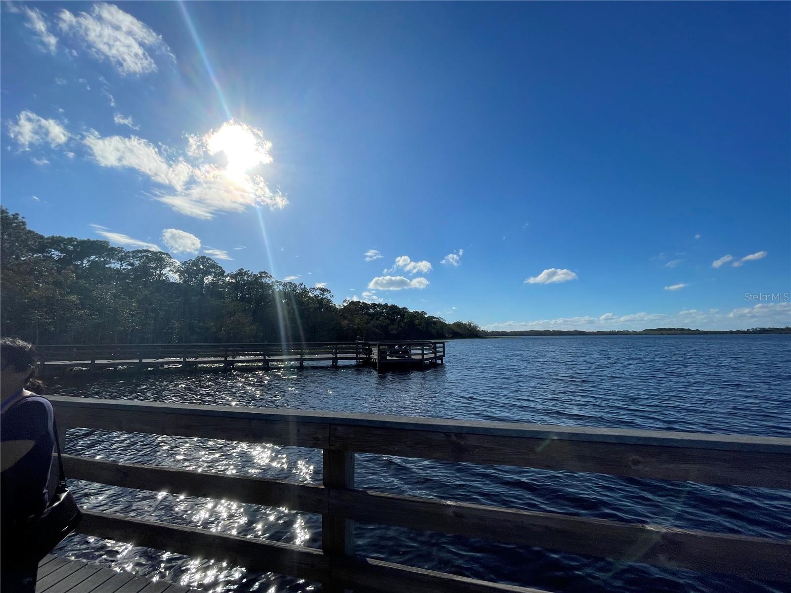 3306 SAGEBRUSH ST, HARMONY, FL, 34773