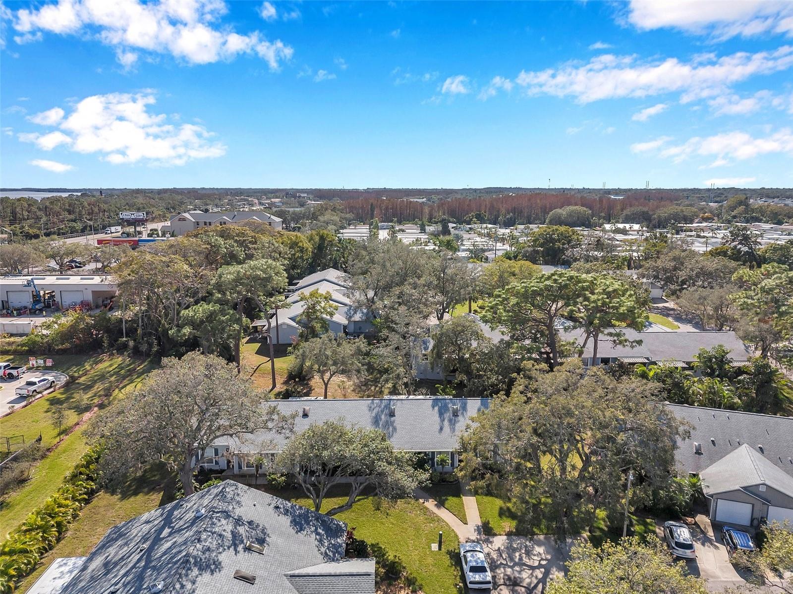 39650 US HIGHWAY 19 N #233, TARPON SPRINGS, FL, 34689
