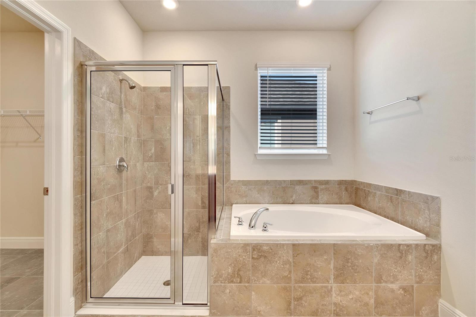 6009 MILESTONE DR, APOLLO BEACH, FL, 33572