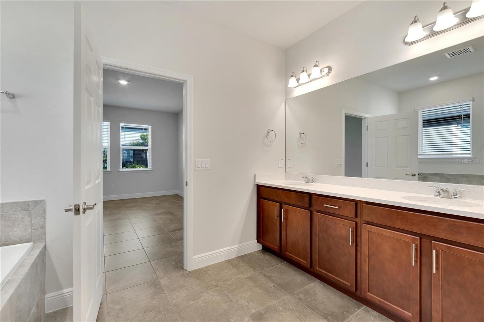6009 MILESTONE DR, APOLLO BEACH, FL, 33572