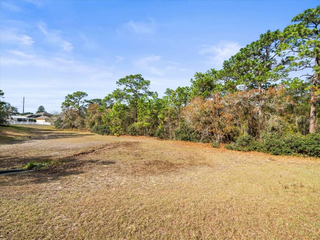 14157 LEYBOURNE WAY, SPRING HILL, FL, 34609