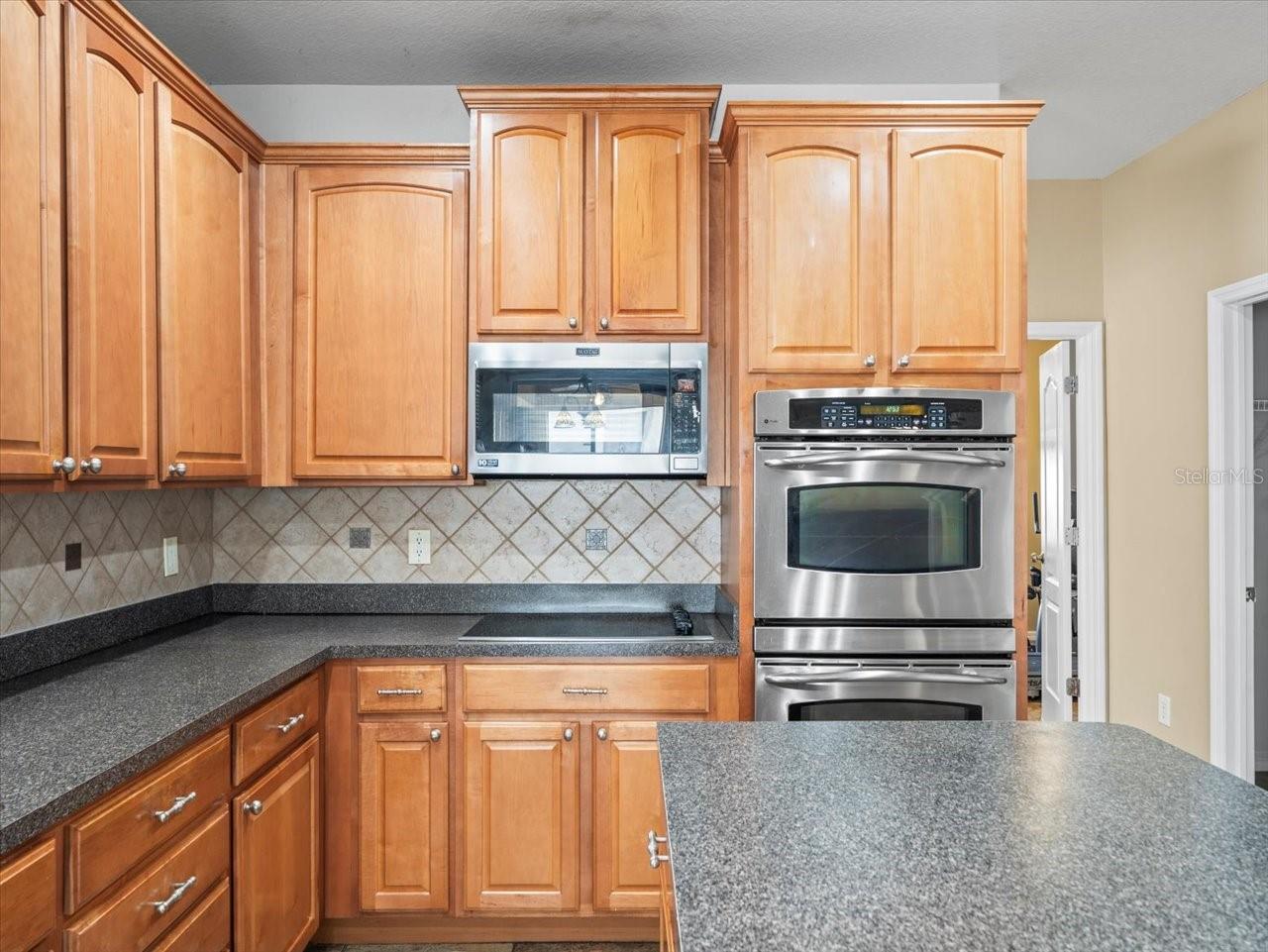 14157 LEYBOURNE WAY, SPRING HILL, FL, 34609