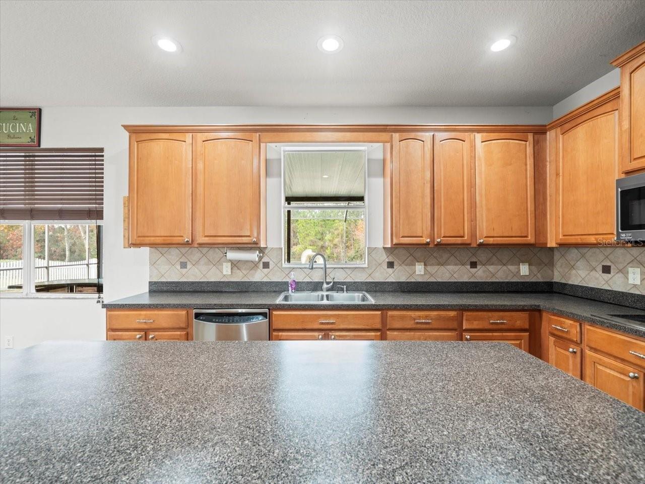 14157 LEYBOURNE WAY, SPRING HILL, FL, 34609