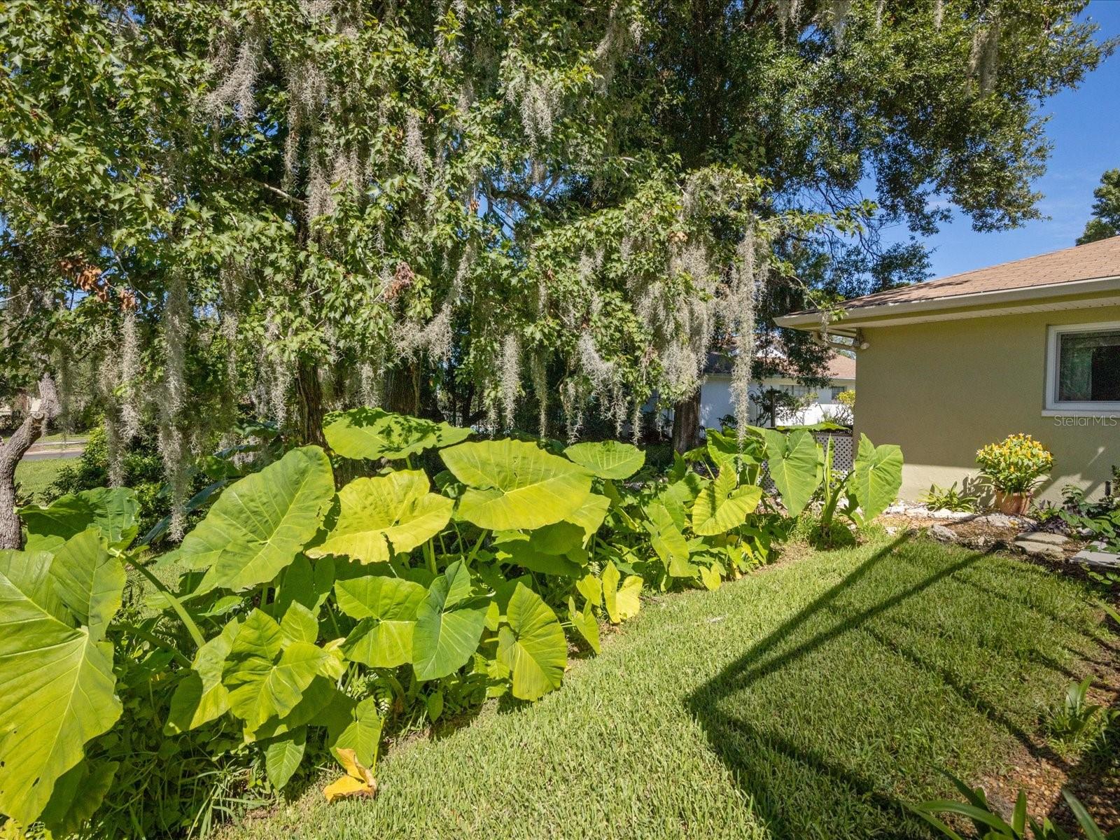 12606 PINEBROOK LN, HUDSON, FL, 34667