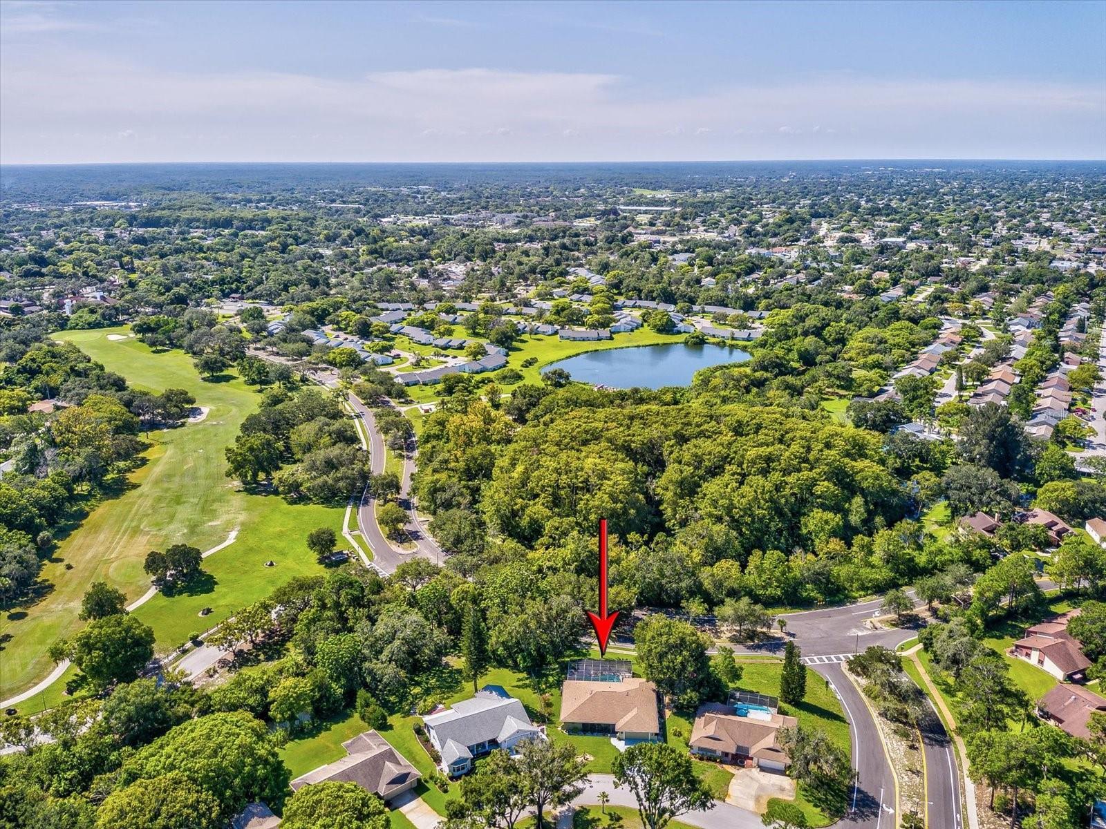 12606 PINEBROOK LN, HUDSON, FL, 34667