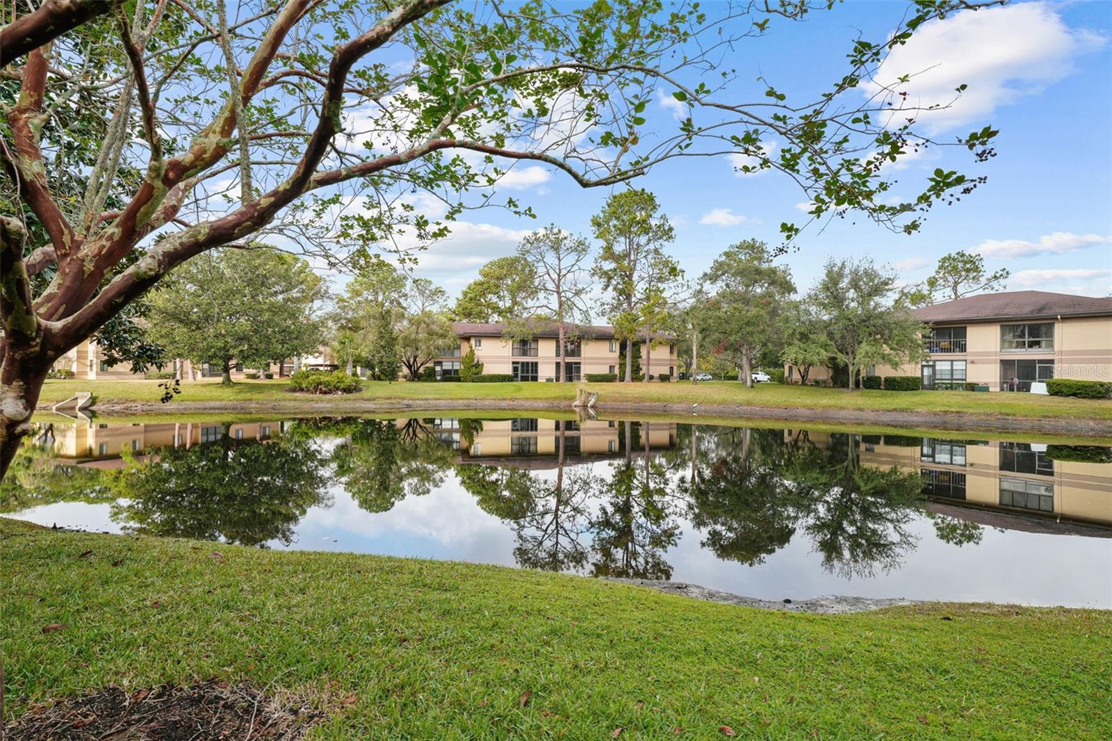 2679 SABAL SPRINGS CIR #203, CLEARWATER, FL, 33761