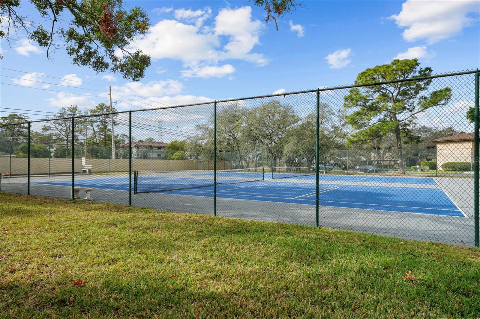 2679 SABAL SPRINGS CIR #203, CLEARWATER, FL, 33761