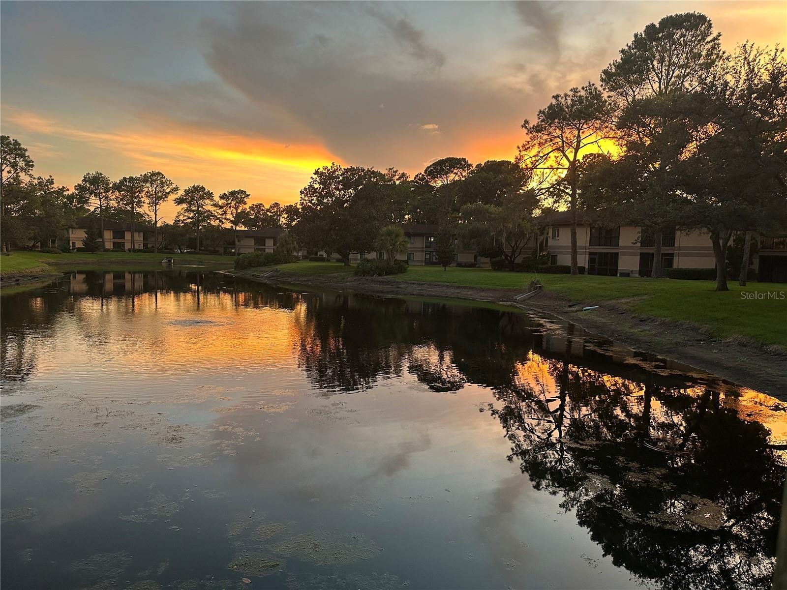 2679 SABAL SPRINGS CIR #203, CLEARWATER, FL, 33761