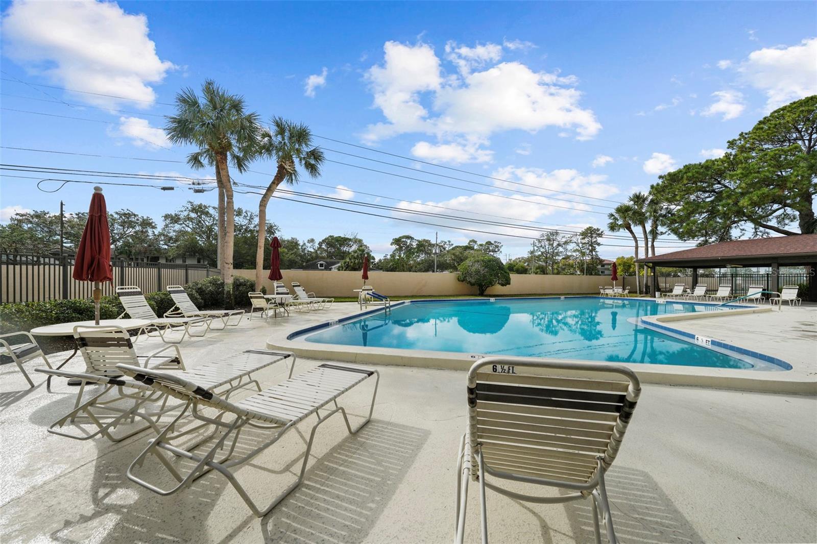 2679 SABAL SPRINGS CIR #203, CLEARWATER, FL, 33761