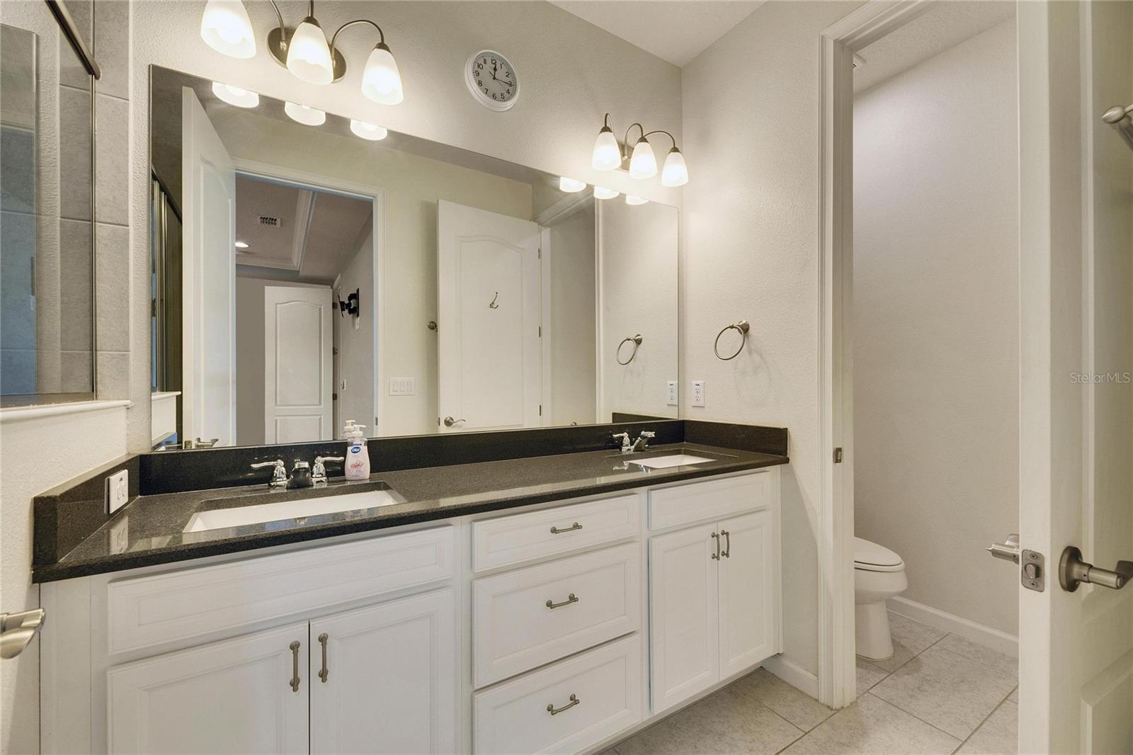 12231 STREAMBED DR, RIVERVIEW, FL, 33579
