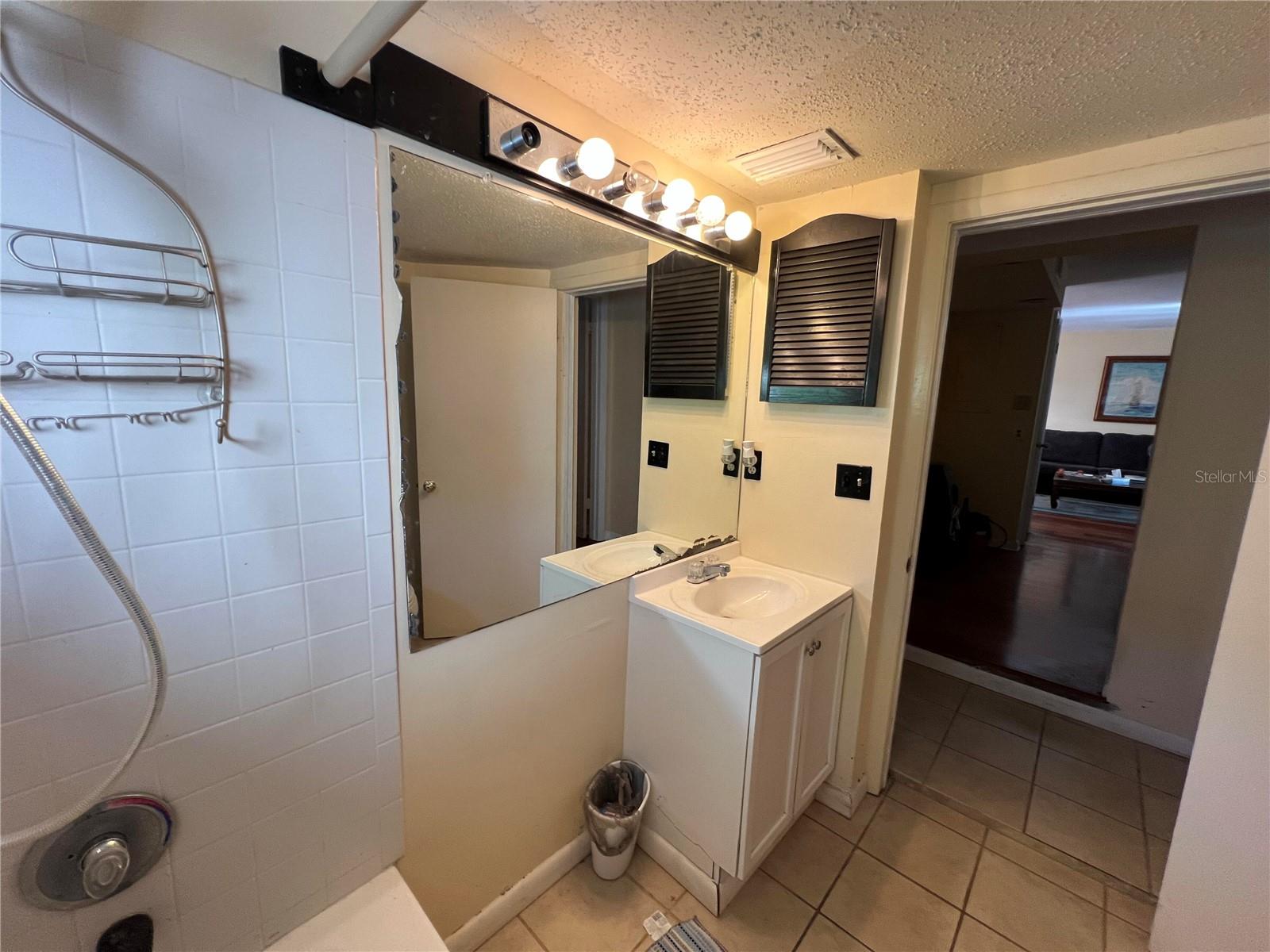 10709 DOWRY AVE, TAMPA, FL, 33615