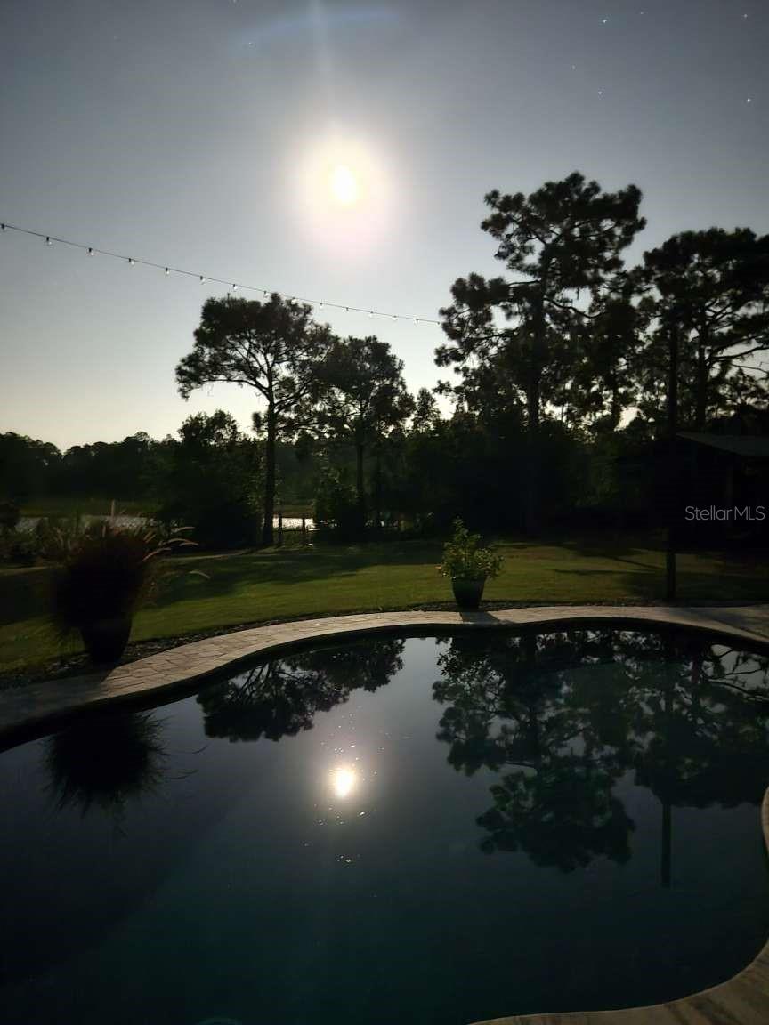 42202 ROYAL TRAILS RD, EUSTIS, FL, 32736
