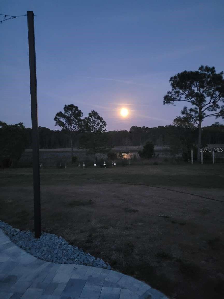 42202 ROYAL TRAILS RD, EUSTIS, FL, 32736