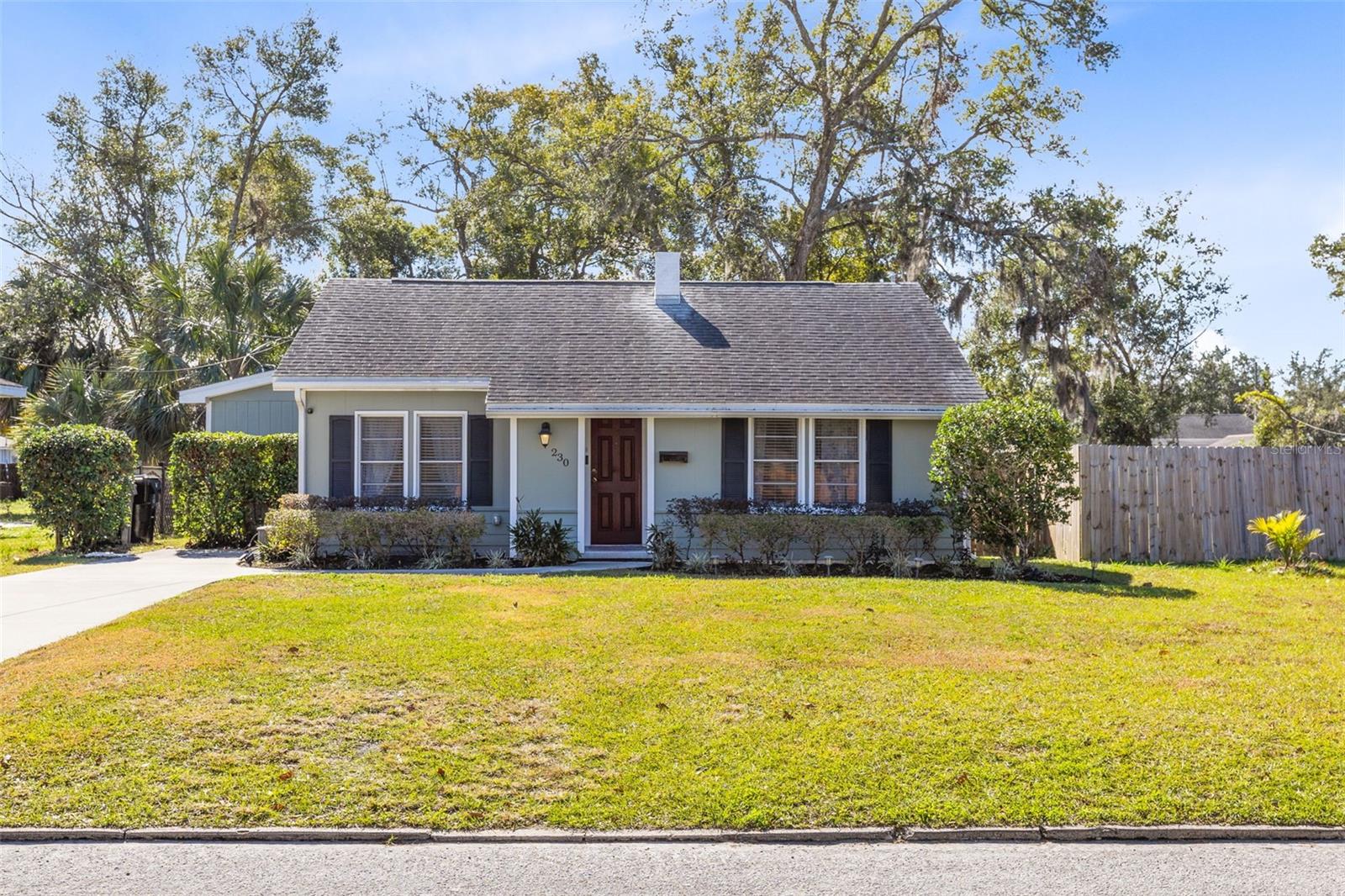 230 W MAGNOLIA ST, APOPKA, FL, 32703