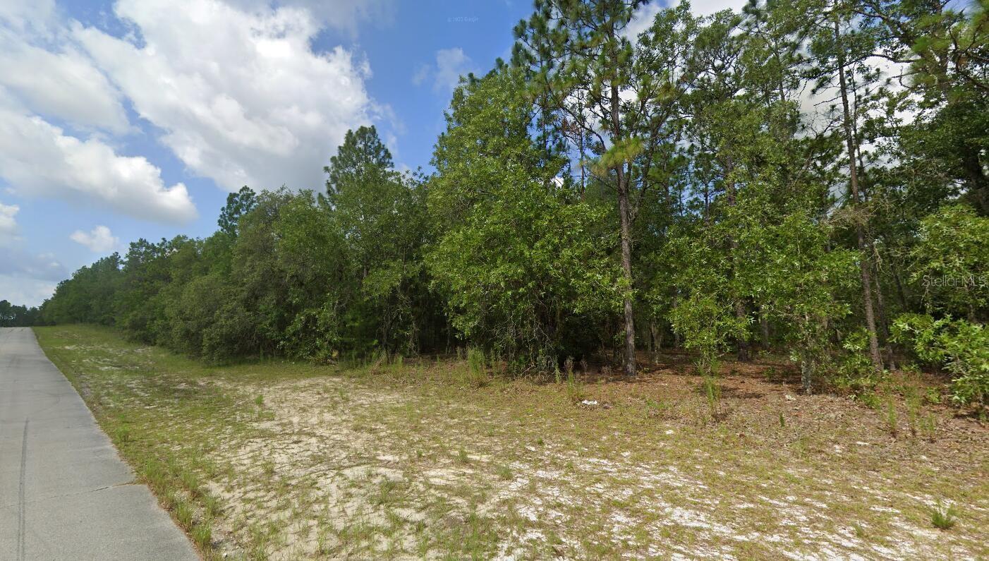 SW 89TH CT, OCALA, FL, 34473