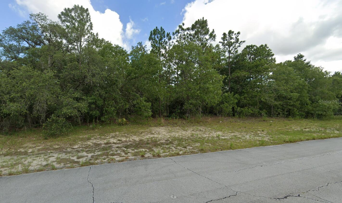 SW 89TH CT, OCALA, FL, 34473