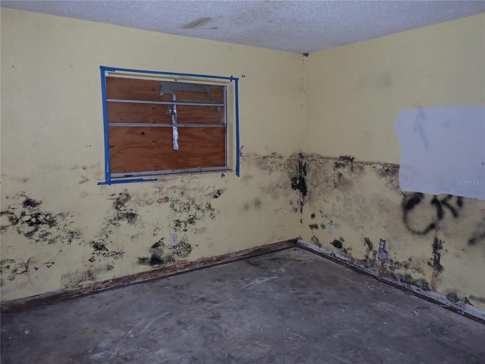 733 HOLLY TER, BRANDON, FL, 33511