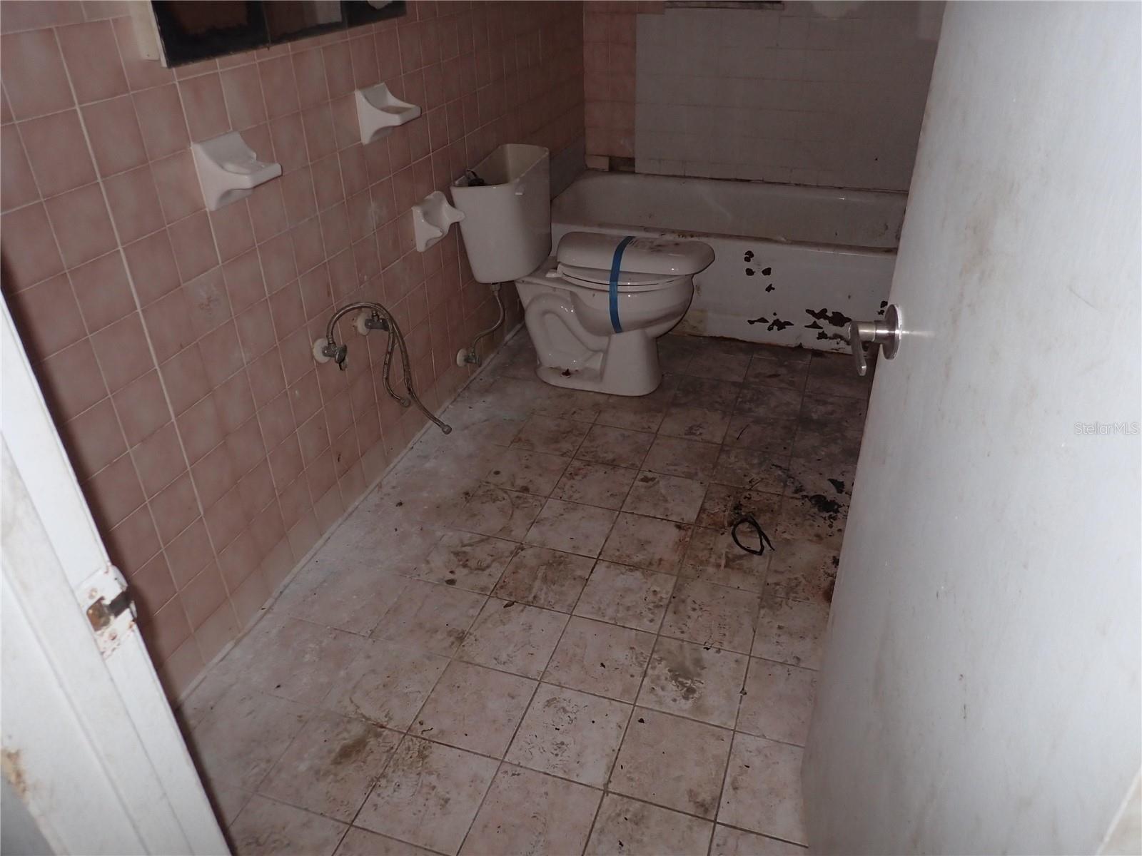 733 HOLLY TER, BRANDON, FL, 33511